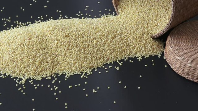 Heap of millet isolated on black background
