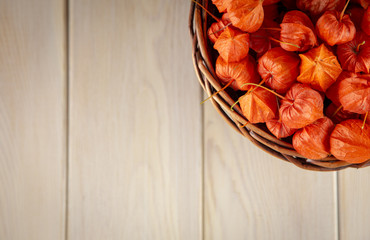 Autumn background. Bright orange physalis berries on a bright woody background. Background for the autumn holidays and thanksgiving day.