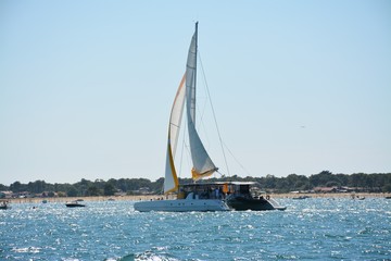 Bassin d'Arcachon - Catamaran à voile
