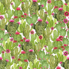 watercolor hand painted cactus. green mexico desert. seamless pattern.