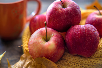 red apples autumn leaves on wooden background