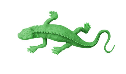 Top view green rubber gecko isolated on white background with clipping path