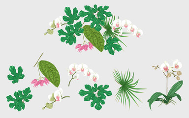 Naklejka premium Set of elements for design with tropical plants