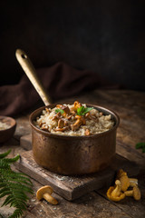 chanterelle mushroom risotto