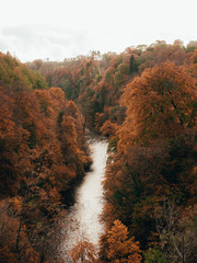 Obraz premium autumn in the mountains