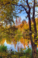 Yellow Orange foliage of trees reflected in the river surface