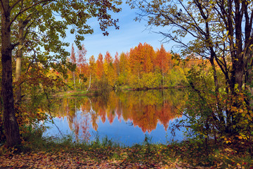 September landscape near the forest lake in the autumn day