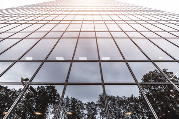 View from the bottom of a reflecting glass facade of a modern office skyscraper with flare on the...