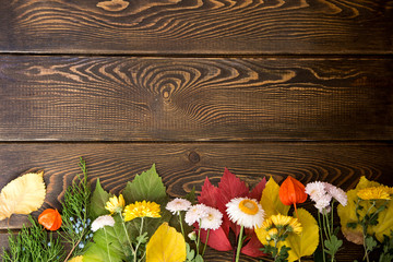 Autumn background. Bright orange berries, very flowers and leaves on a brown wood background. Background for autumn holidays and thanksgiving day. © Alwih
