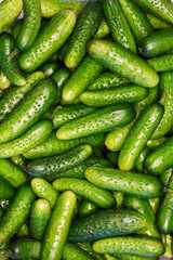 Cucumber green fresh as a healthy diet. Background color image close up.