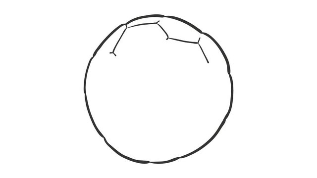 sketch of the football ball on white background, simulation of sketching