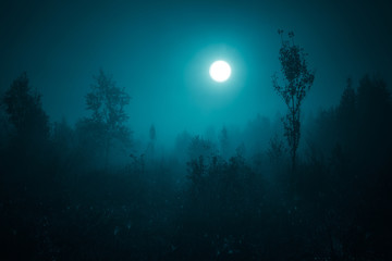 Fototapeta na wymiar Night mysterious landscape in cold tones - silhouettes of the forest trees under the full moon and dramatic night sky.