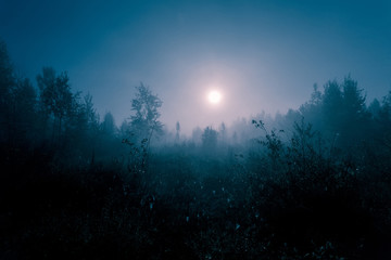 Night mysterious landscape in cold tones - silhouettes of the forest trees under the full moon and...