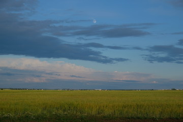 Obraz premium bright blue sky with moon over green field