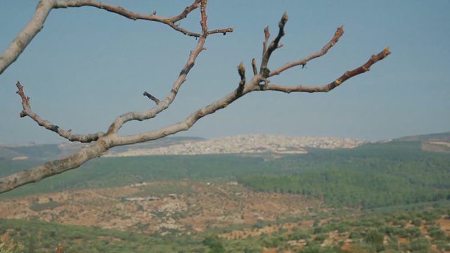 Palestinian city near Nazareth. Lower Galilee - Israel, cca 2015.