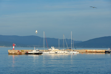 yachts in the harbor