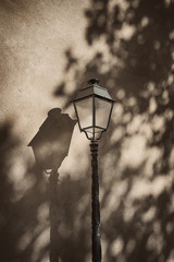 Lantern and its shadow on a wall. Details. Colmar, France