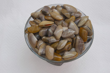 Small multicolored mussels on the glass plate
