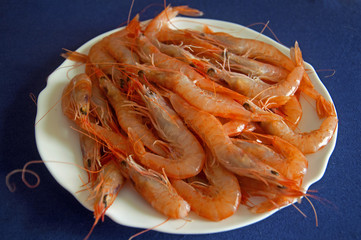 Shrimps on the white plate, macro