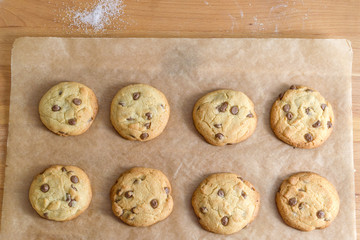 Fresh homemade chocolate chip cookies on baking paper
