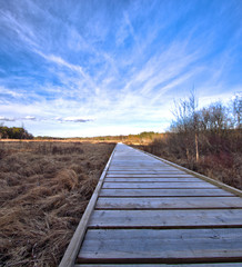 Obraz premium Wooden path at Store Mosse national park, Sweden