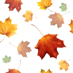 autumnal seamless 06