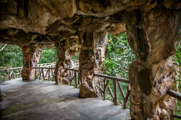 Naklejka premium During the walk On the way, a path in the rain forest .
