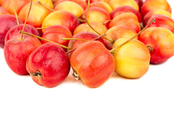 Pile paradise apple