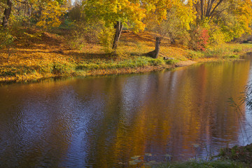 The calming autumn landscape