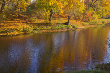 The calming autumn landscape