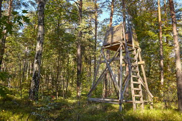 Wooden elevated hunting blind hidden in a forest.