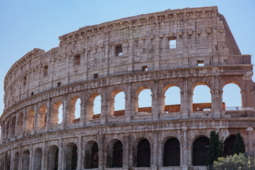 Fototapeta premium colosseum in rome italy