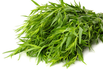 Tarragon leaves ( Artemisia dracunculus ) isolated on white background