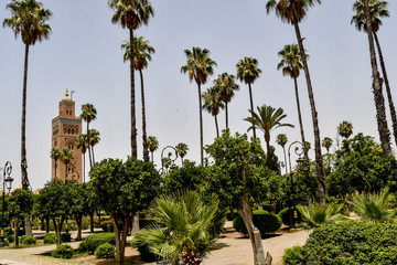 Maroko, wakacje, podróże, architektura, ludzie, islam, przyroda