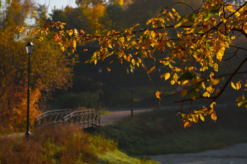 autumn landscape bridge over the river
