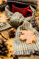 Hot drink for autumnal walk. Mug drink and checkered scarf and kepi. Mug of tea covered with hat and surrounded by scarf autumnal background with fallen maple leaves and fir cones. Warming beverage