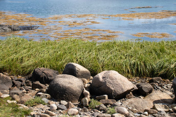 rocks, grass and sea. Gently rock my world