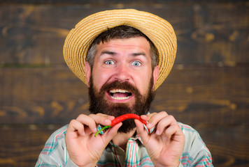 Rustic farmer in straw hat likes spicy taste. Farmer presenting hot chilli pepper wooden background. Man hold pepper harvest. Bearded farmer hold pepper in hand. Pepper harvest concept