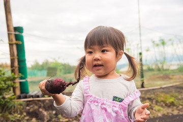 芋掘りをする子供