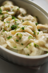 dish with dumplings plate wint ravioli dumplings