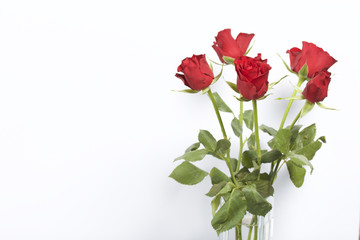 A bouquet of scarlet roses in a glass vase. Five flowers. On a white background