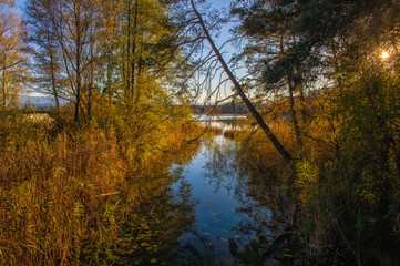 Obraz premium Herbststimmung am Ostersee