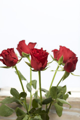 Obraz premium A bouquet of scarlet roses. Five flowers. On a white background