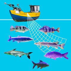 Fishing boat and net for catching fish. Site about the sea, fishing, fish, profession.