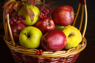 Wicker basket with autumn fruits of apples, quince and viburnum on a dark background. Beautiful autumn still life