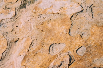 Senjojiki Texture in Wakayama Shirahama 