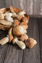 Basket with mushrooms