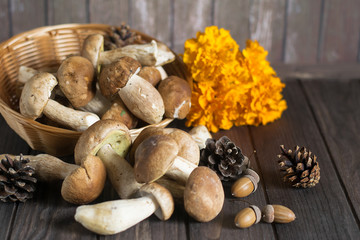 Composition with mushrooms basket and yellow flowers