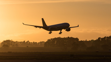 Aircraft landing