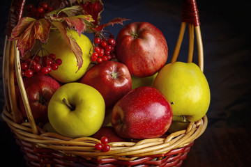 Wicker basket with autumn fruits of apples, quince and viburnum on a dark background. Beautiful autumn still life
